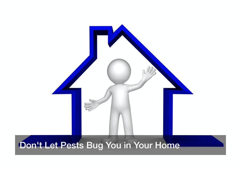Don’t Let Pests Bug You in Your Home