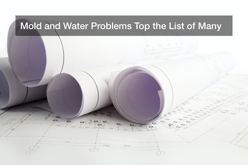 Mold and Water Problems Top the List of Many