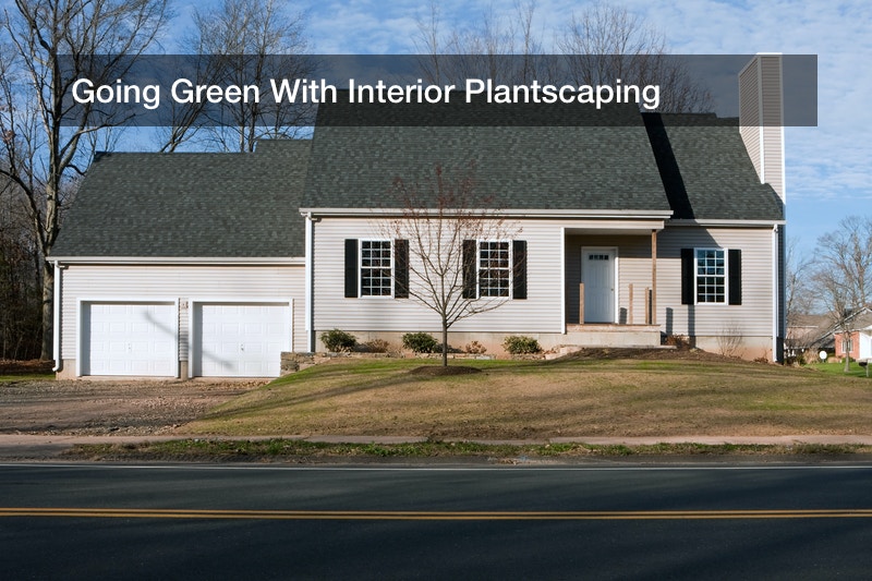 Going Green With Interior Plantscaping