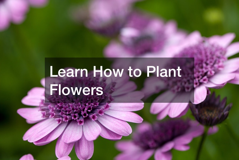 Learn How to Plant Flowers
