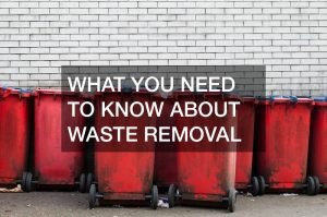 What You Need to Know About Waste Removal - Diy Index