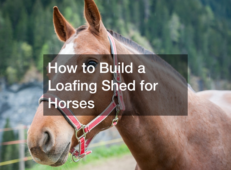 How to Build a Loafing Shed for Horses