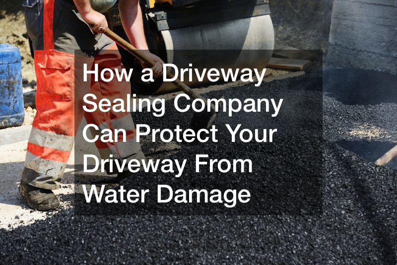 How a Driveway Sealing Company Can Protect Your Driveway From Water Damage