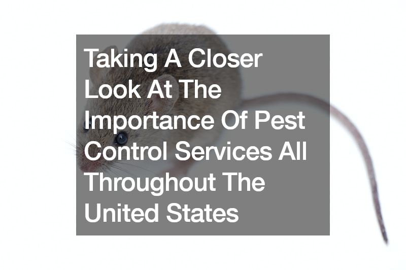 Taking A Closer Look At The Importance Of Pest Control Services All Throughout The United States
