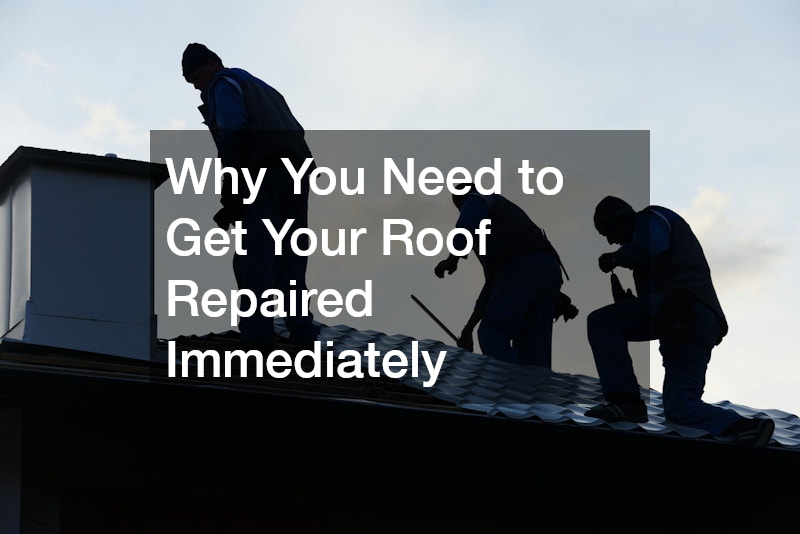 Why You Need to Get Your Roof Repaired Immediately