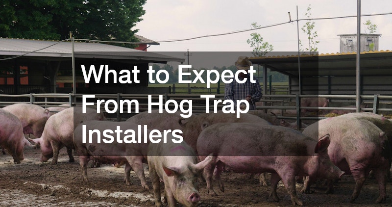 What to Expect From Hog Trap Installers